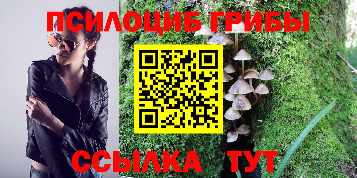 Псилоцибиновые грибы мицелий  Галлюциногенные грибы GOLDEN TEACHER  Вход с VPN  Электрогорск 